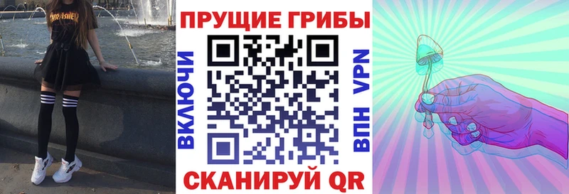 Псилоцибиновые грибы мицелий купить сайты мориарти какой сайт Мамадыш